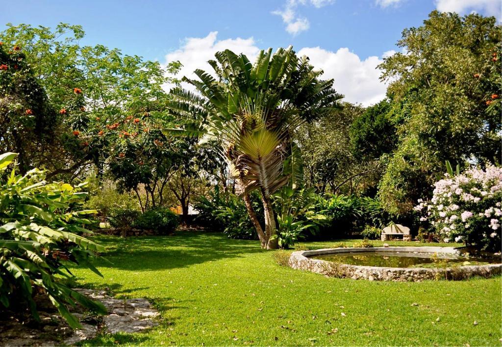 Hacienda San Francisco Tzacalha Hotel Dzidzantun Exterior photo